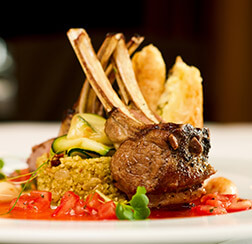 һ�������;�Ӣרҵ