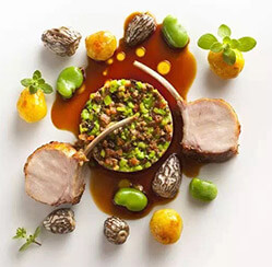 һ�������;�Ӣרҵ