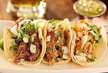 һ�������;�Ӣרҵ